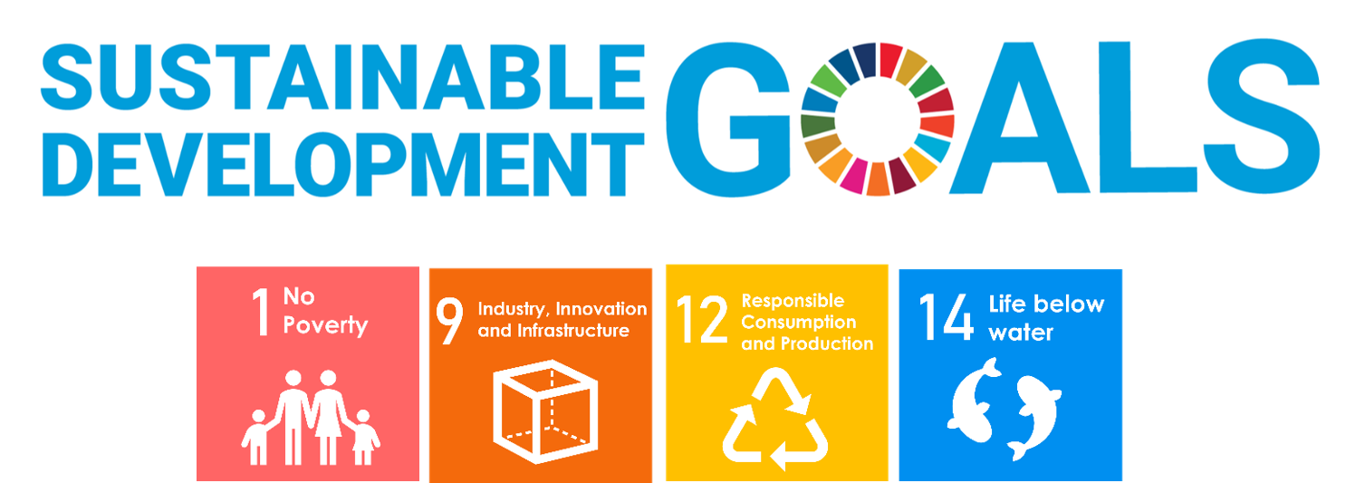 Sustainable Development Goals that apply to ISO 9001