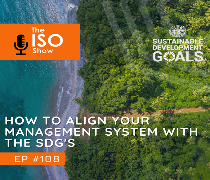 #108 How to align your Management System with the Sustainable Development Goals
